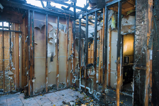 Professional Fire Damage Removal technician working in Somerville, TX