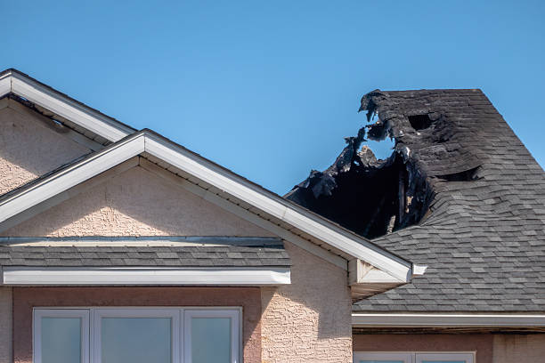 Top rated local Fire Damage Removal specialists in Somerville, TX